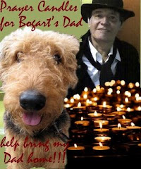 My NOMSS Friend Bogart's Dad went to Heaven.