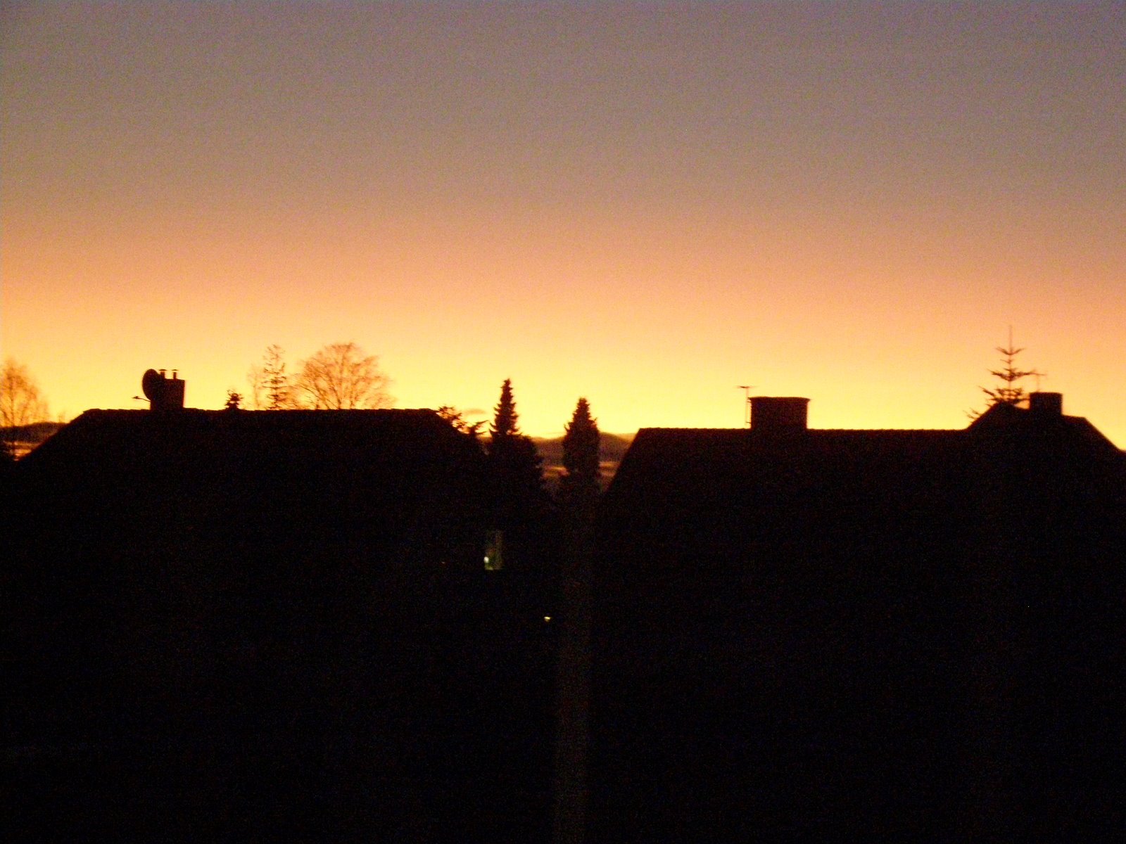[P2190029.JPG]