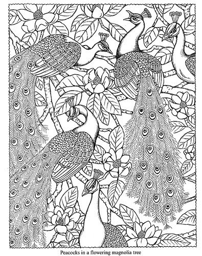 Wild Oak Academy: Free Dover Coloring Pages