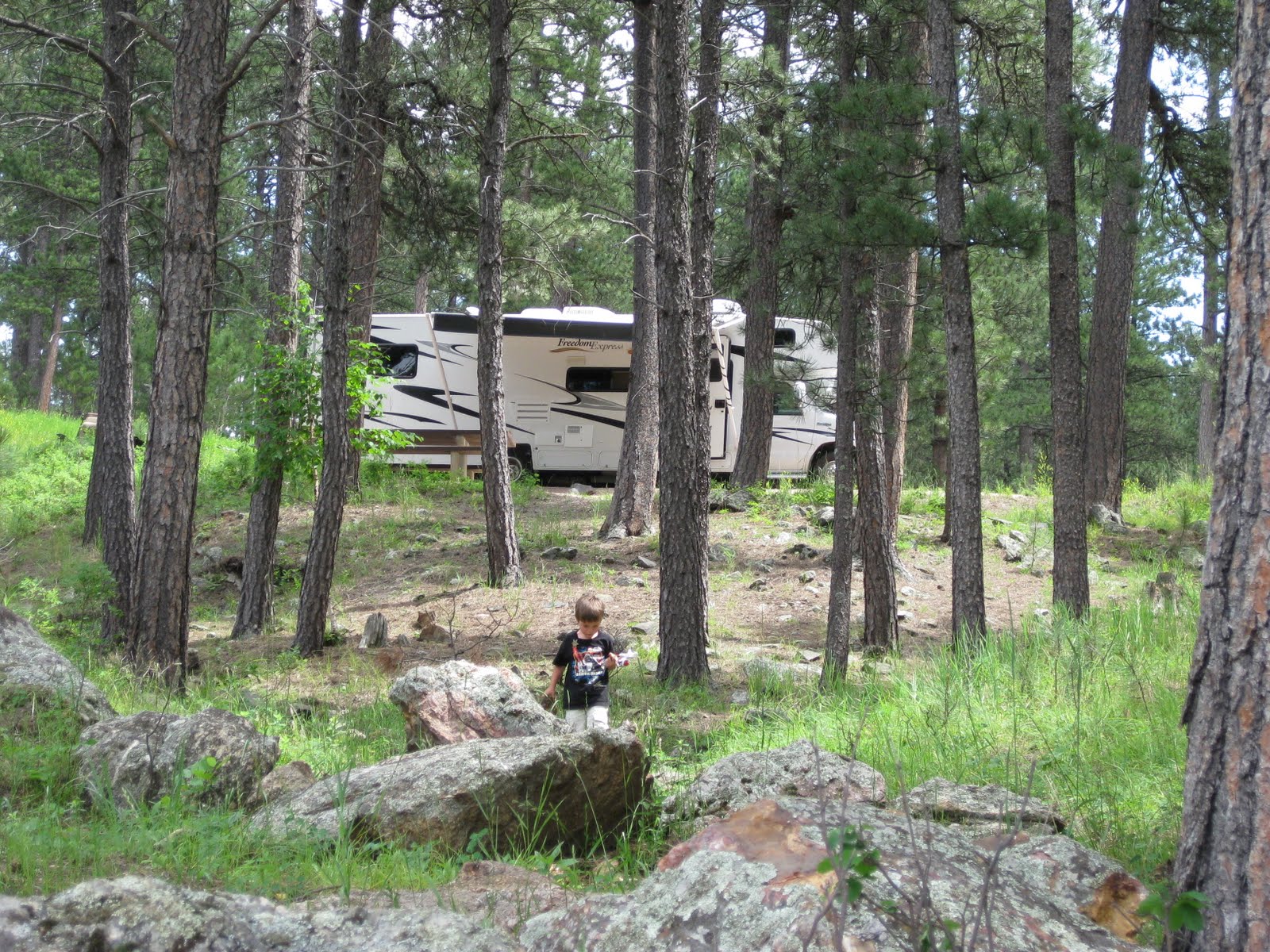 CampgroundCrazy Bismarck Lake Campground, Custer, South Dakota