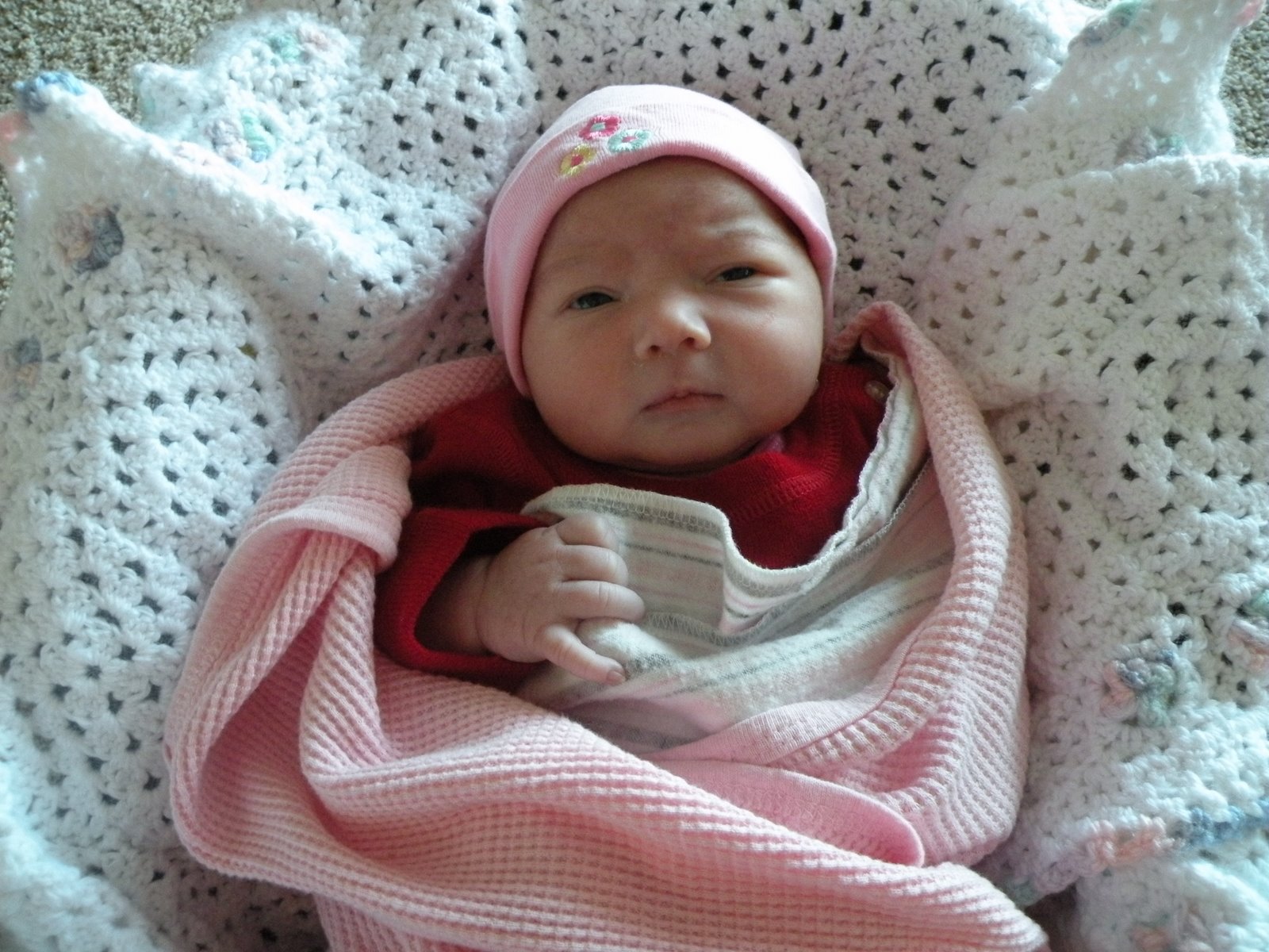 [DSCN0120.JPG]