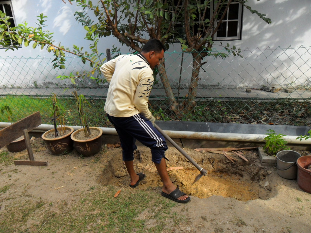 projek DIY: Projek DIY Kolam Ikan