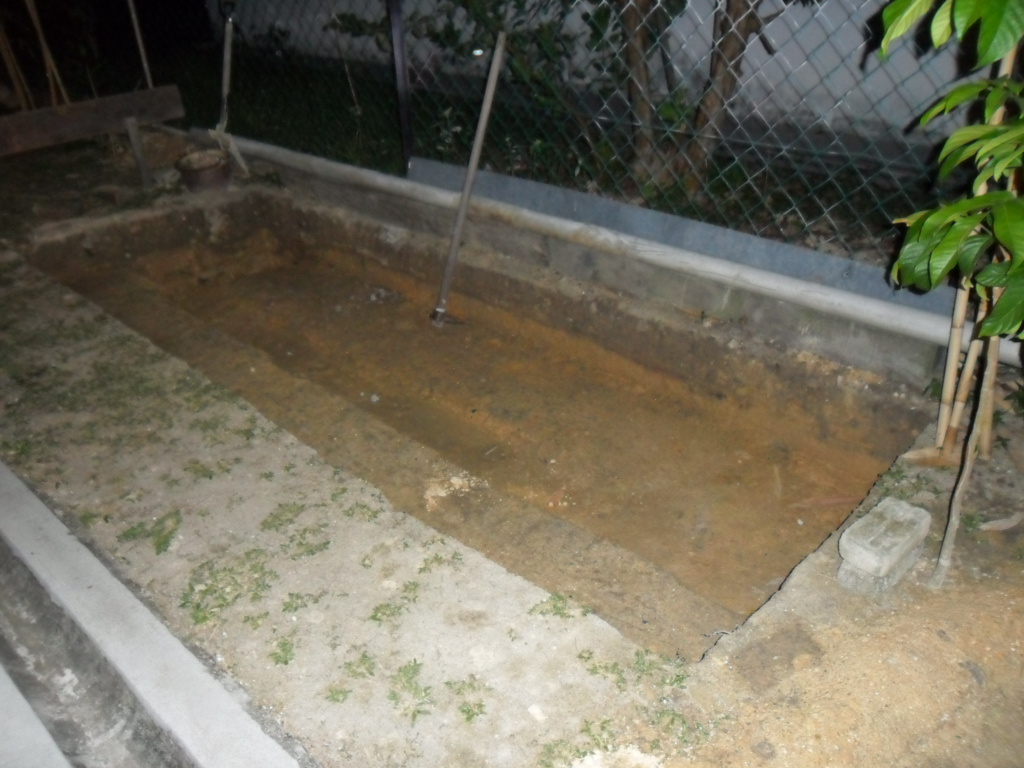 projek DIY: Kolam Ikan (60% siap)