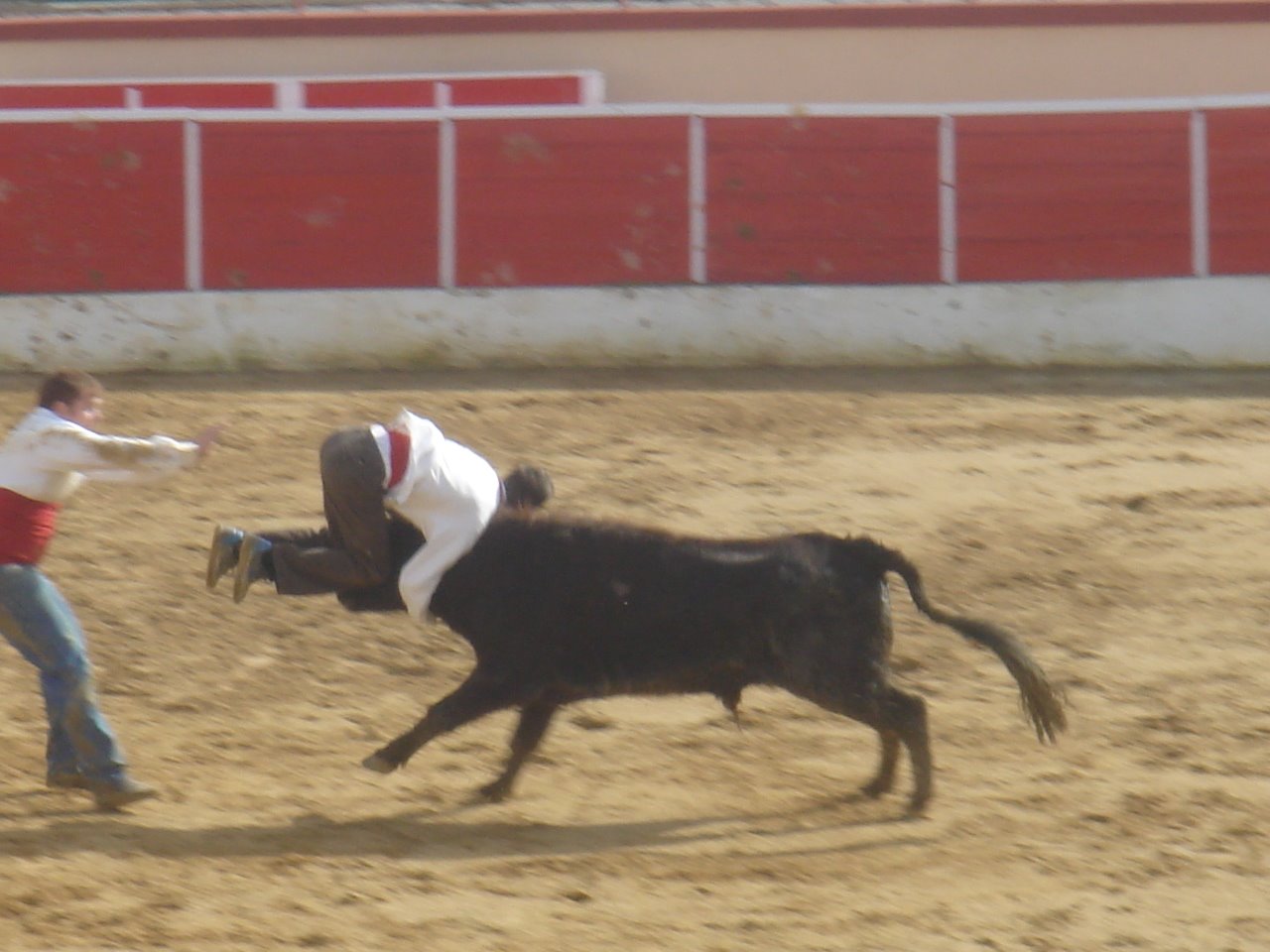 [DSC06487.JPG]