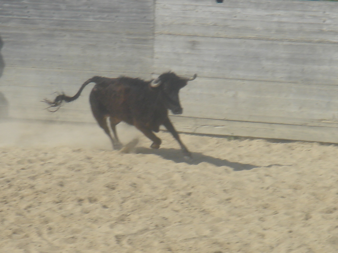 [DSC07689.JPG]