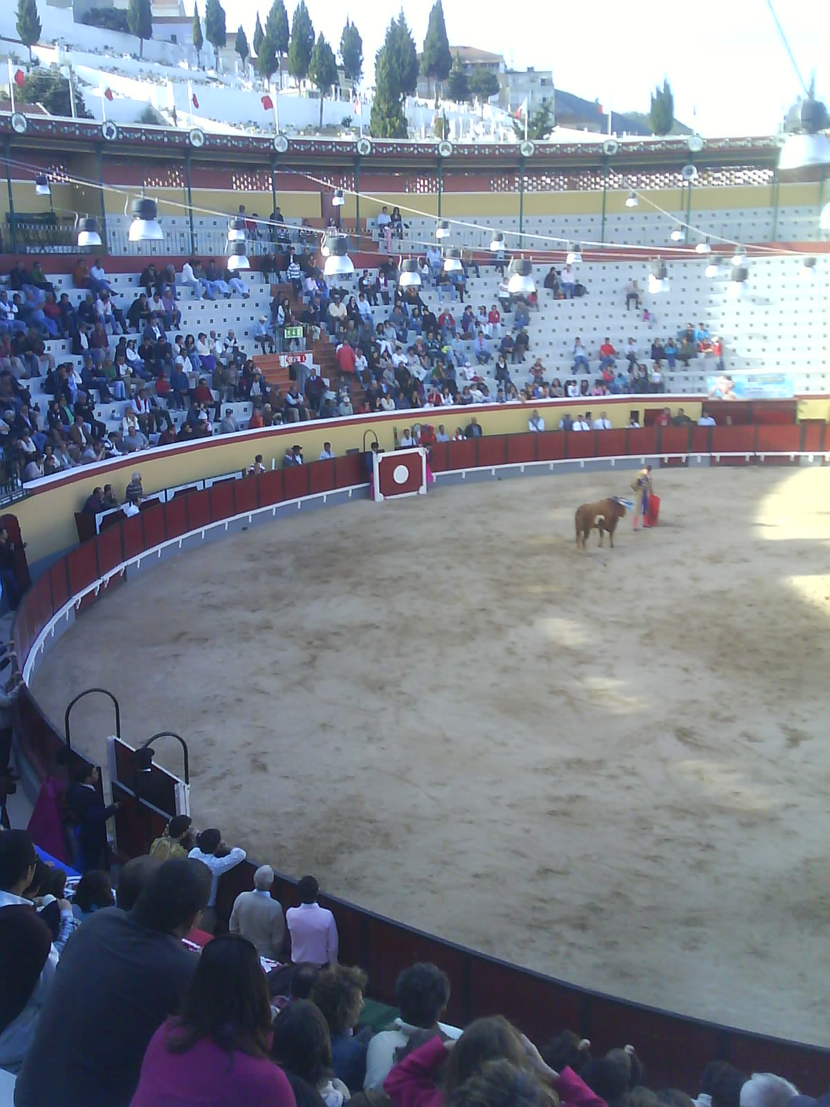 [DSC00510.JPG]