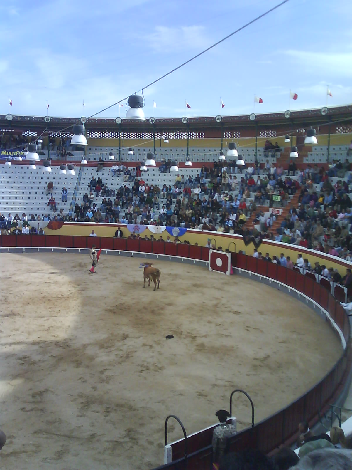 [DSC00528.JPG]