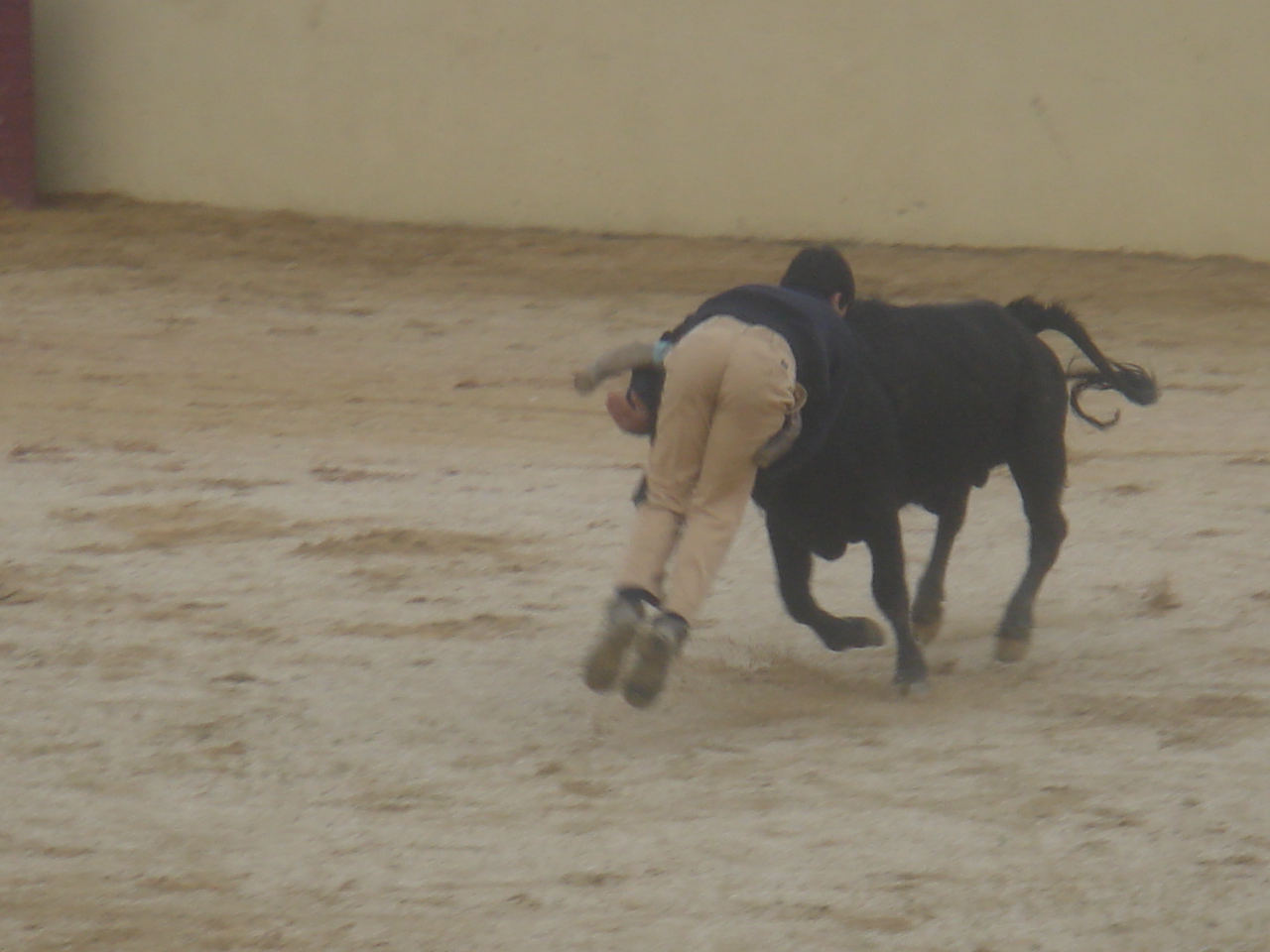 [DSC08571.JPG]