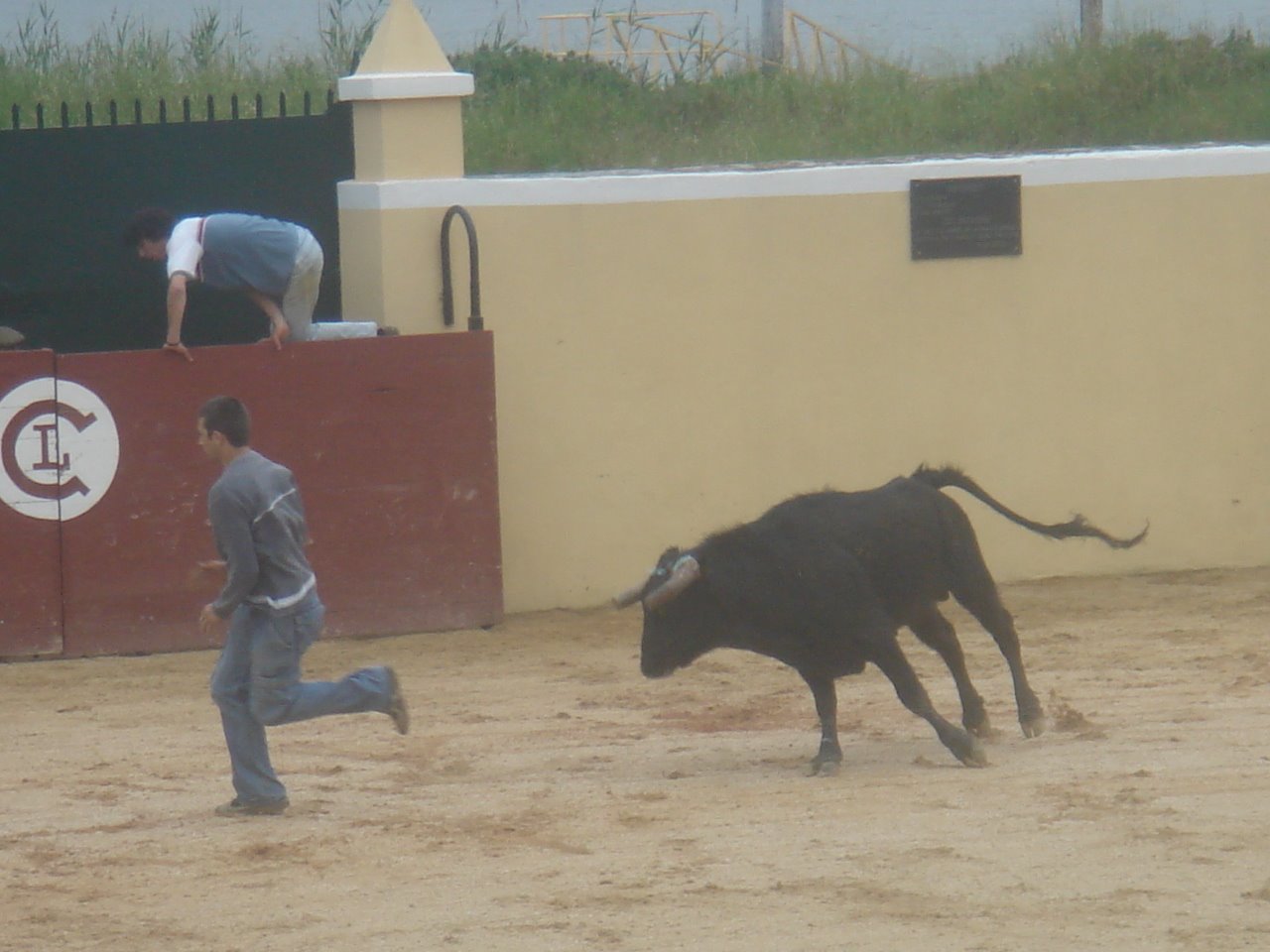 [DSC08544.JPG]