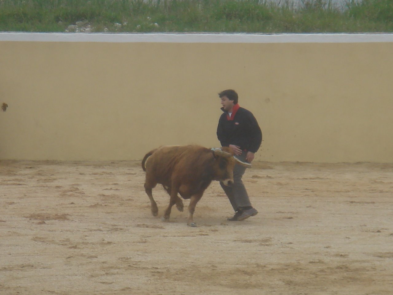 [DSC08532.JPG]
