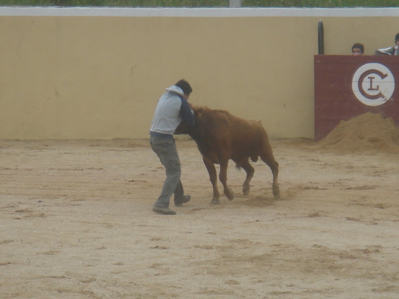 [DSC08529.JPG]