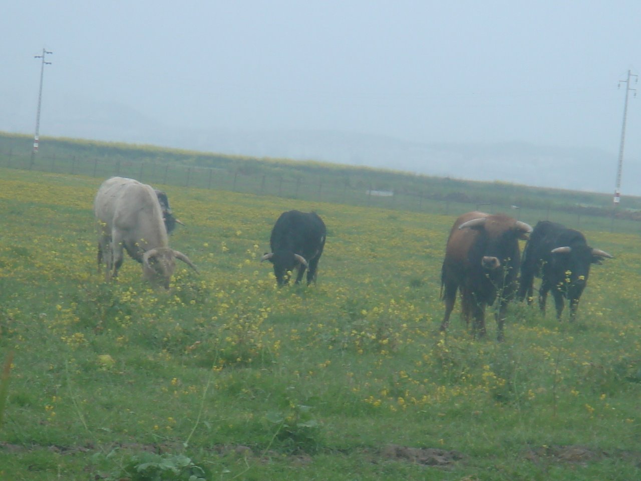[DSC08580.JPG]