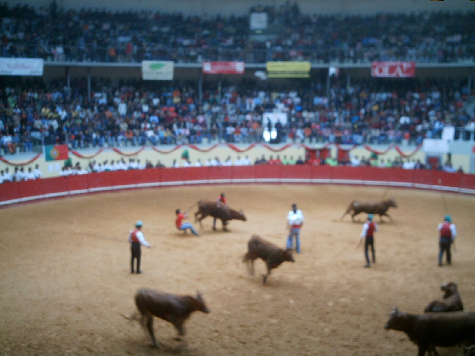[IMAG0041.JPG]