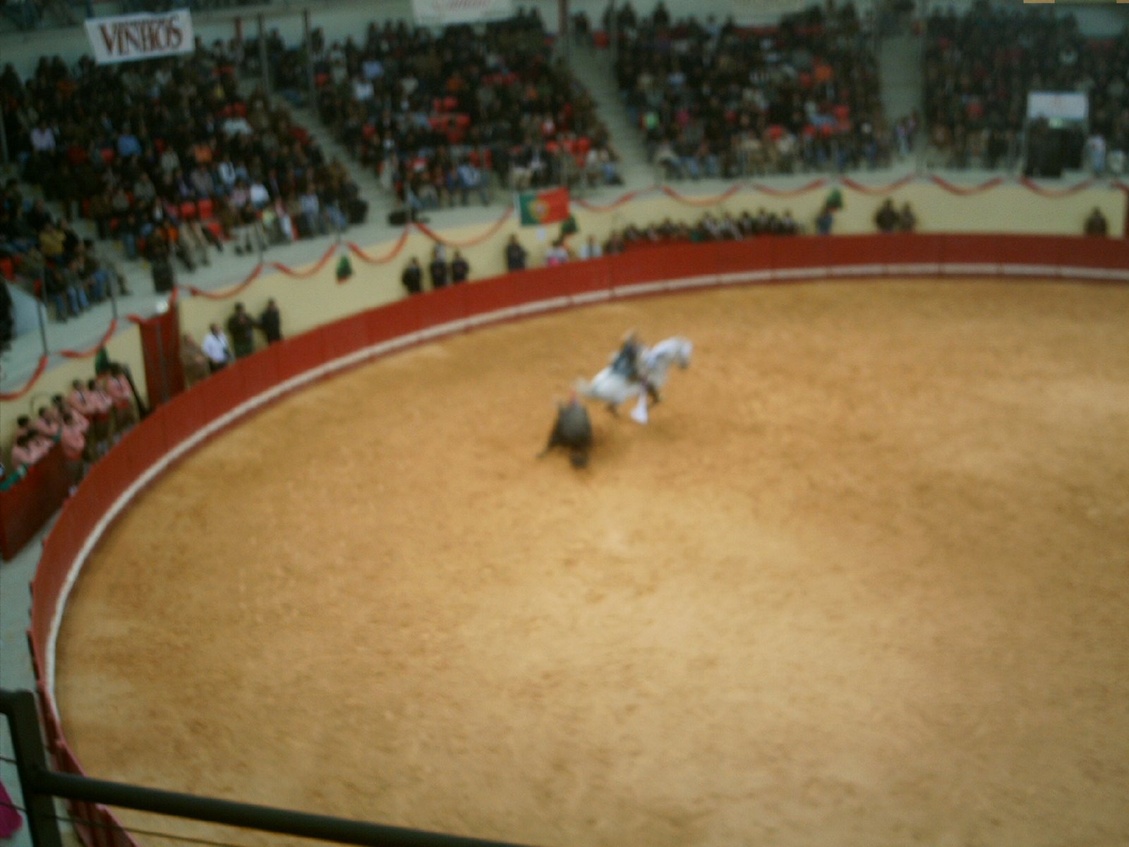 [IMAG0136.JPG]