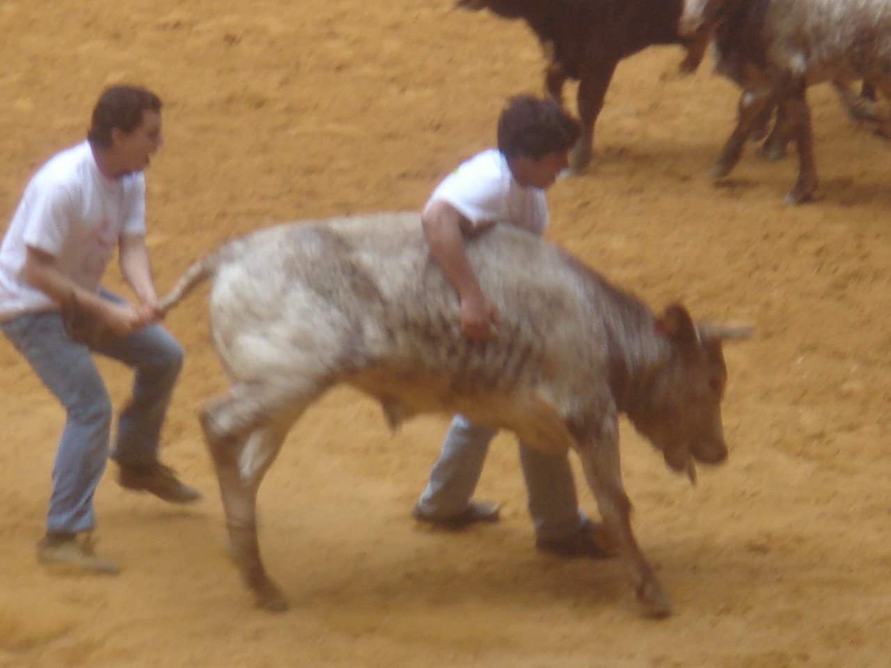 [DSC08234.JPG]