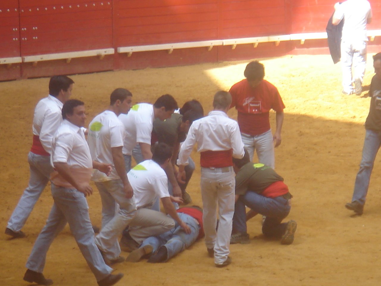 [DSC08264.JPG]