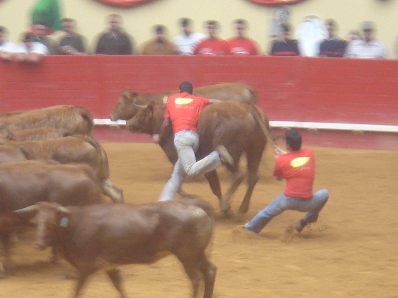 [DSC08052.JPG]