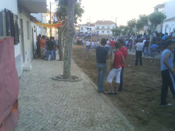 [DSC00609.JPG]