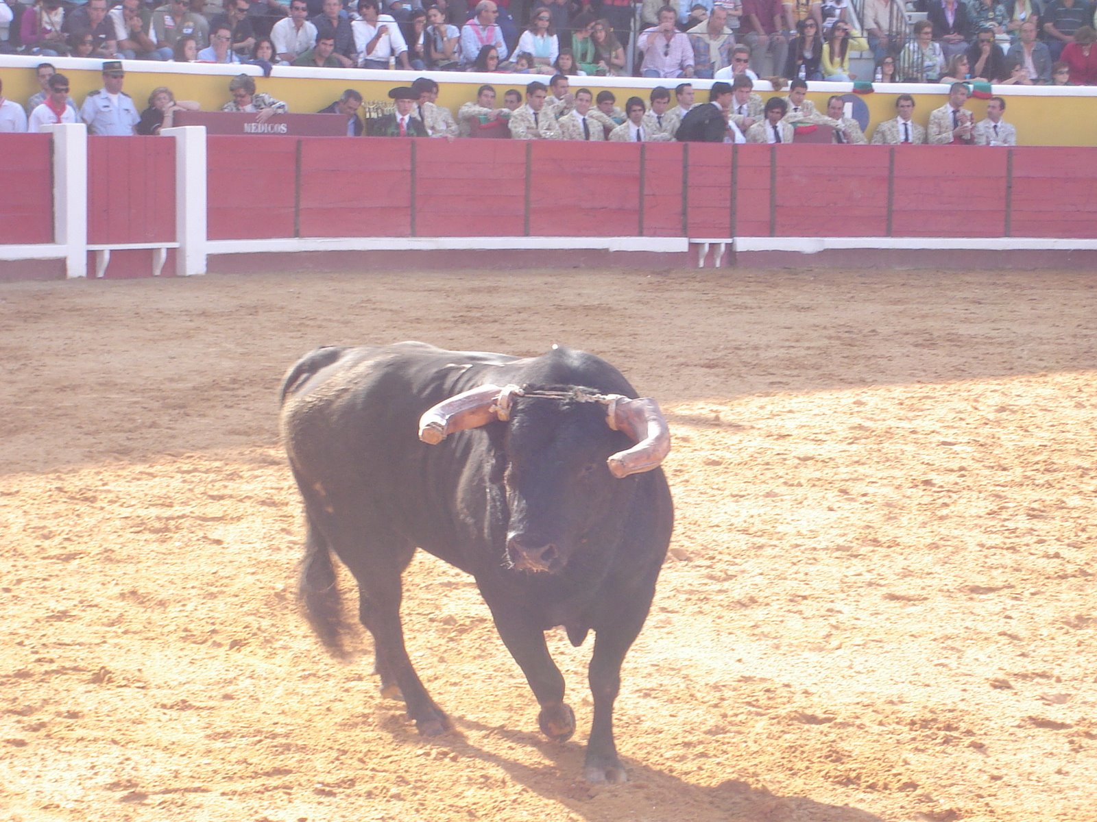 [DSC03625.JPG]