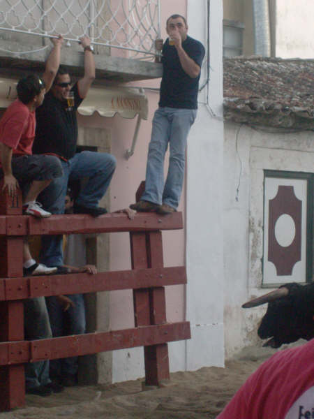 [HPIM2635.JPG]