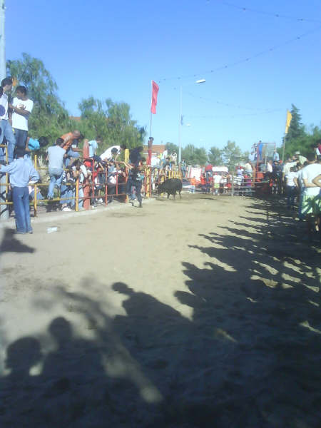 [DSC00806.JPG]
