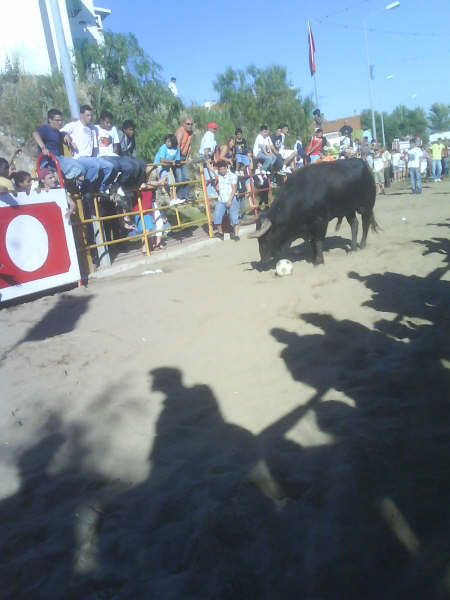 [DSC00794.JPG]