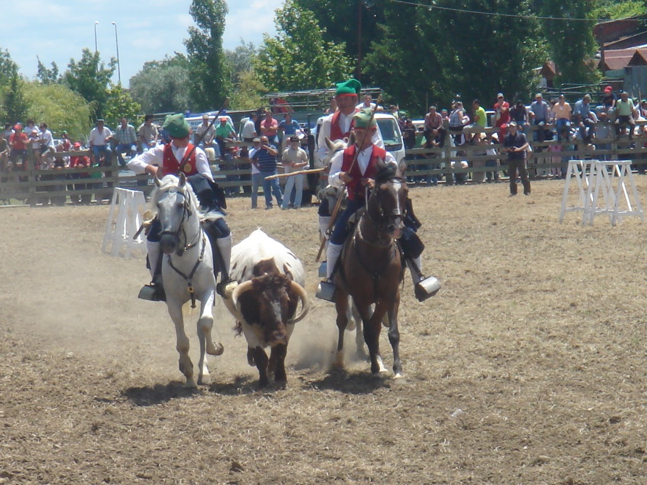[DSC09165.JPG]