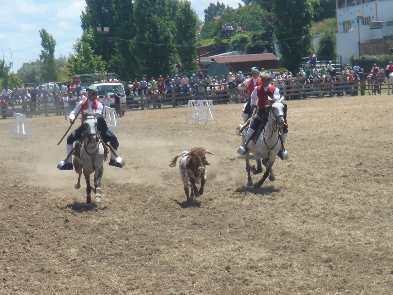 [DSC09158.JPG]