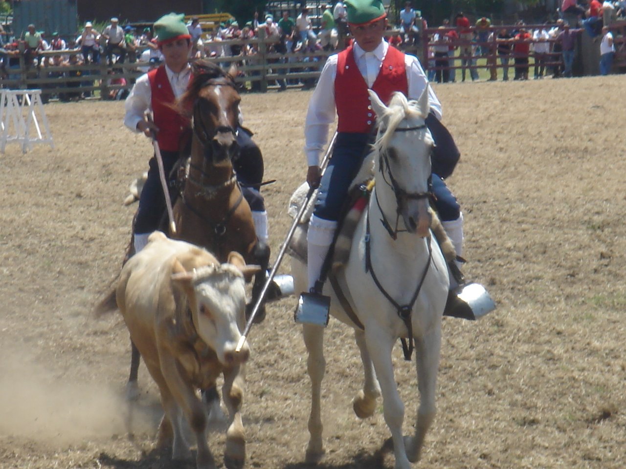 [DSC09156.JPG]