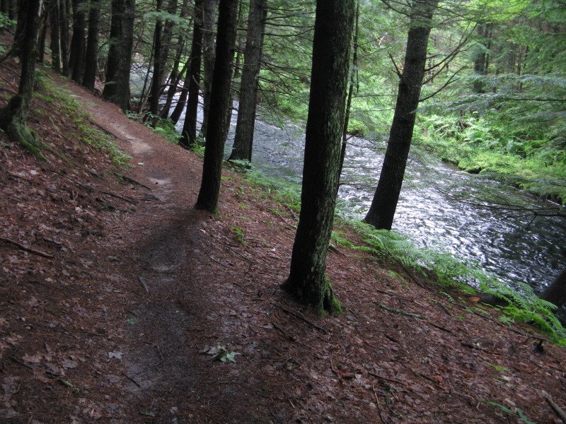 [IMG_3965.JPG]