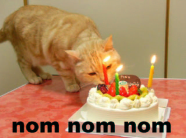 Happy Birthday Mister Bright! Birthday+cat