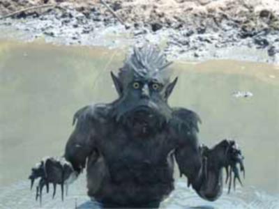 Swamp Man