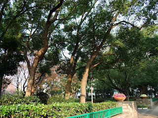 うつぼ公園の景色