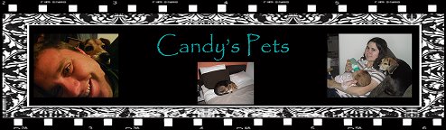 Candy's pets