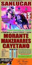 Feria de la manzanilla 2010