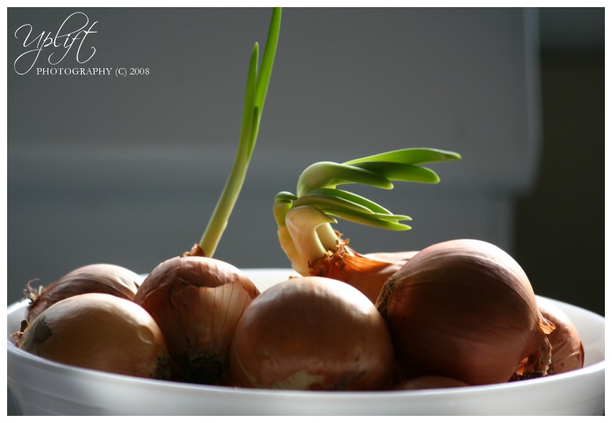 [IMG_5962_edit_LOGO.jpg]