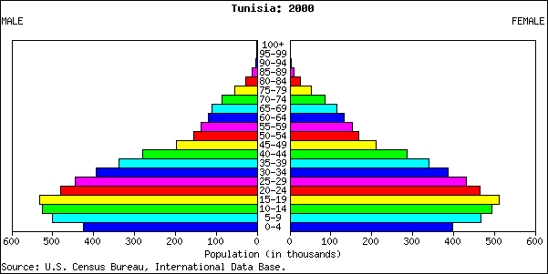 Pyramide des âges Tunisie