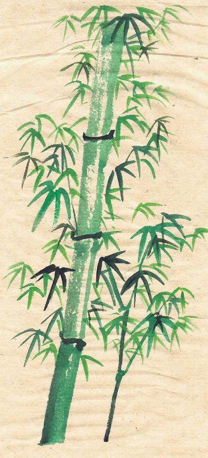 [bamboo6.jpg]