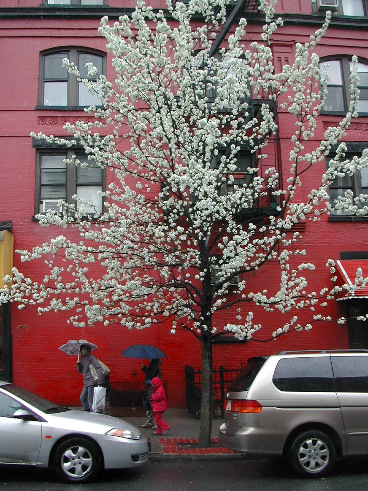 [DSCN9603.JPG]