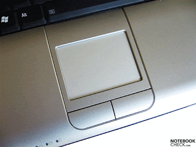 I'm not sure what annoys me moreusing the dang touchpad on my laptop.