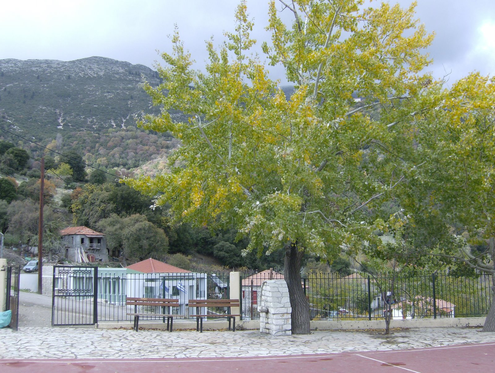 ΓΥΜΝΑΣΙΟ ΛΑΜΠΕΙΑΣ