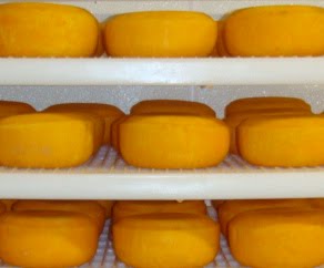 WASHED RIND CHEESE: Brother Laurent