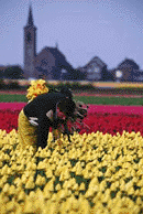 [5167.GIF]
