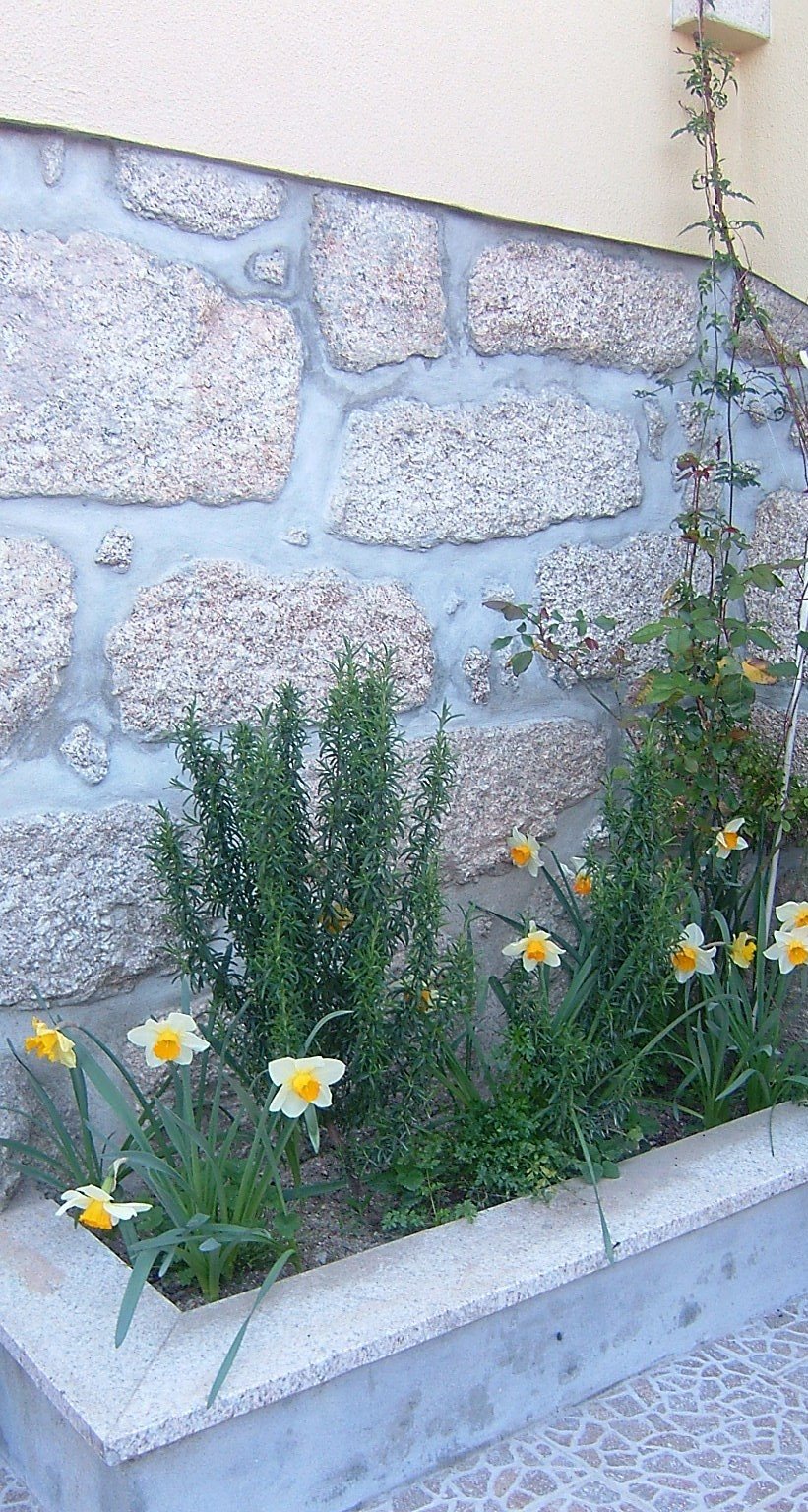[Beijoz_mar09_101.JPG]