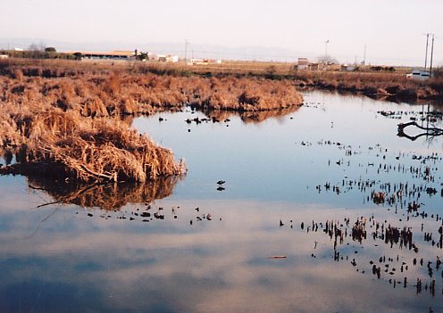 [Voluntariado_Riet_Vell_6.bmp]