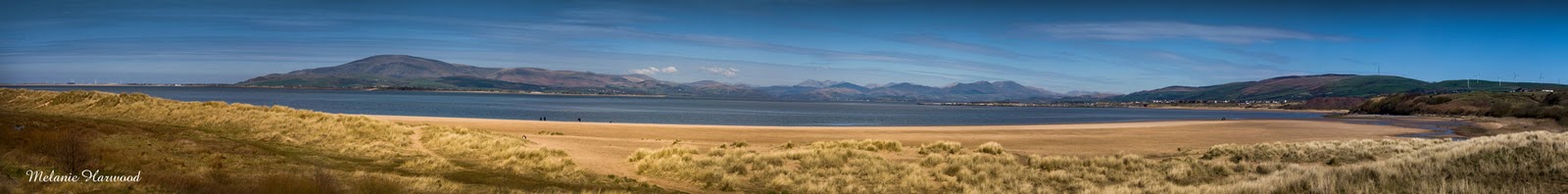 Sandscale haws essay image