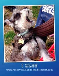 I Blog Poster
