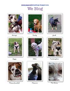 We Blog Poster