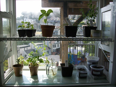 Bible verse where wife cheats but husband forgives