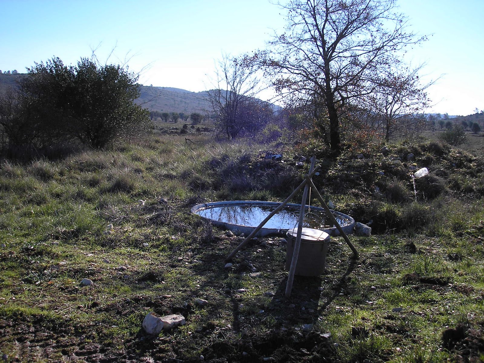 [z.c.assoc.+017.jpg]